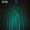 电子木鱼 (纯享版) - 纯享先生