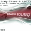 Look At The Beautiful World (A & Z Remix) - Andy Elliass&Arczi
