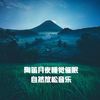 心间 冥想音乐 - 纯音乐&睡前音乐盒