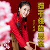 挡不住的思念 - 陕北娜姐