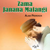 Zama Janana Malangi Da - Alam Peerzada