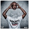 Voodoo Song (Radio Edit) - Willy William
