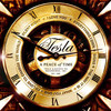 I'd Love to Change the World (Ten Years After cover) - Tesla