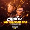 Vai Transar de 4 (Explicit) - Cadu DJ&MC Luanzin do JD