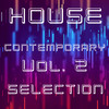Security Fly (Lady Bamba Remix) - Victor Arman