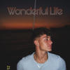 Wonderful Life (feat. Nvro) (Special Version) - DustinBR&nvro