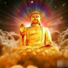 一声佛号一声心 - 葡萄不甜