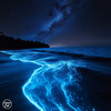 An Ocean Of Stars - December50&Giulio