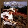 Whiskey Lullaby - Brad Paisley&Alison Krauss