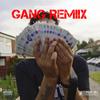 Gang (feat. Lightz MTG) (Remix|Explicit) - Married The Game LTD&Lightz MTG