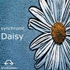 Daisy (Original Mix) - Synchronic