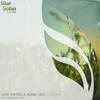 Mentha (Original Mix) - Robbie Seed&Dave Shifting