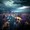 Flowers - Gina Turner