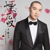 烟花叹 - 王琪