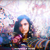 Panineer Rose - Agnivesh