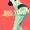 Big Ting (Explicit) - Sudu