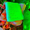 While We're Young (Explicit) - Jhené Aiko