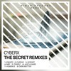 Trapez (Cyberx Remix) - Matteo Gargallo&Cyberx