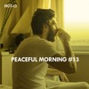 Morning Lights (Original Mix) - Classemotion
