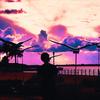 Beyond Energy - Dekoi