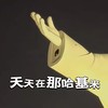 天天在那哈基米 - 冲浪哥