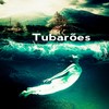 Tubarões - Okmic