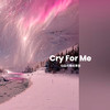 Cry For Me (仙品间奏纯享版) - AEC