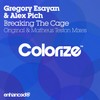 Breaking The Cage (Original Mix) - Gregory Esayan&Alex Pich