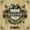 Them Boys (Explicit) - Bliss N Eso