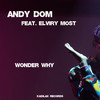 Wonder Why - Andy Dom&Elviry Most