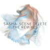 Cassette Sessions D (Throwing Snow Remix) - Sasha