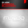 Carrera (Original Mix) - D'jok