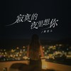 寂寞的夜里想你 - 燕宝儿
