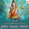 Srisaila Mallayya Palisu - Nikhil Parthasarathy