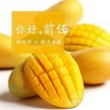 再见，前任 - 胖胖胖&晓月老板