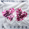 Purpose (Explicit) - Roney&Golde London