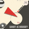 What Is House (Nytron Remix) - DJ Daniel D&Nytron
