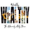 Wealthy (feat. Skyler Wilson) (Radio Edit) - Ricky Brixx&Skyler Wilson