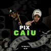 PIX CAIU (Explicit) - DJ Theo da ZS&MC RD