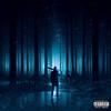 Upside down (feat. Zerokoma) (Explicit) - DeCe&Zerokoma