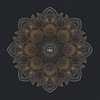 Got(Drums) - Prok & Fitch