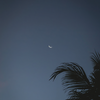 夜，萤火虫和你（钢琴曲） (钢琴曲) - 轻松音乐