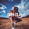 深林伴月 (纯音乐) - 江钧