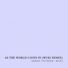 As the World Caves In (Wuki Remix) - Sarah Cothran&Wuki