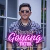 Goyang Tiktok - Alan3M&Jovi Herlandi&Ilham Gibzie