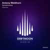 Symphonica (Radio Edit) - Antony Waldhorn