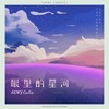 眼里的星河 - 酷奇