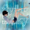 flying in the sky - メガテラ･ゼロ