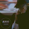 可惜我们再也不会见了 - 苏天伦