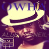 OWHA (Radio Edit) - Allen McNeil&Troop